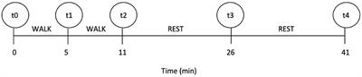 The effect of the surgical treatment of brachycephalic obstructive airway syndrome on the thermoregulatory response to exercise in French bulldogs: a pilot study